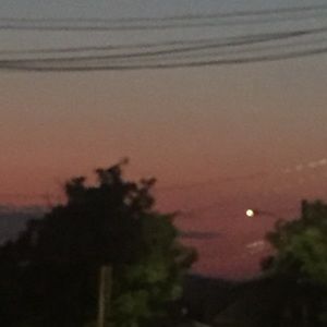 Meet your Posher, Angie